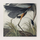 Zoek naar audubon puzzels Vogels uit amerika