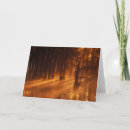 Zoek naar joann kaarten Joanne wells