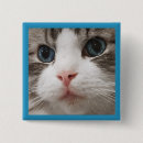 Zoek naar neus buttons Gezicht