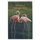 Zoek naar flamingos kalenders Roze