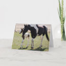 Zoek naar merrie kaarten Boerderij