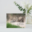 Zoek naar rabbit briefkaarten Foto