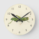 Zoek naar insecten kunst Grens