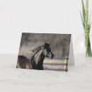 Zoek naar bob kaarten Animal