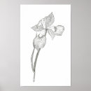 Zoek naar pen en inkttekening posters Tekenen