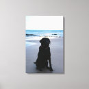 Zoek naar zwart labrador kunst Huisdier