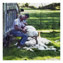 Zoek naar scheer posters Elk persoon