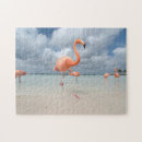 Zoek naar tropisch strand puzzels Palmboom