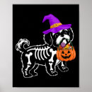 Zoek naar hond shih tzu posters Schattig