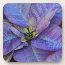 Zoek naar poinsettia onderzetters Natuur