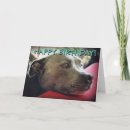Zoek naar staffordshire kaarten Staffordshire bull terrier