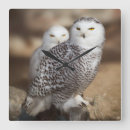 Zoek naar sneeuwuil kunst Vogels
