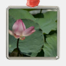 Zoek naar vietnam ornamenten Reis