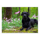 Zoek naar bloemen horizontale verjaardagskaarten Schattig