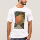 Zoek naar chromo tshirts Lantaarn