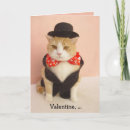 Zoek naar sokken kaarten Katten