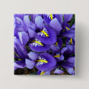 Zoek naar irissen buttons Blauw