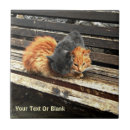 Zoek naar katten tegels Dieren