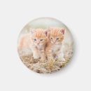Zoek naar kitten magneten Natuur