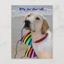 Zoek naar grappige huisdieren uitnodigingen Gast