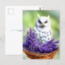 Zoek naar uilen briefkaarten Elk persoon