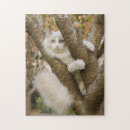 Zoek naar ragdoll puzzels Dier
