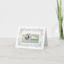 Zoek naar groen wenskaarten kaarten Voor hem/haar