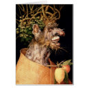 Zoek naar arcimboldo briefkaarten 16th