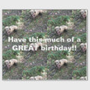 Zoek naar vizsla cadeaupapier Verjaardag