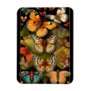 Zoek naar vlinder magneten Botanisch