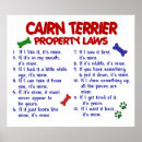 Zoek naar cairn terrier kunst Grappig