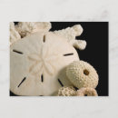 Zoek naar assorted briefkaarten Cindy miller hopkins