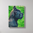 Zoek naar cane corso kunst Riet