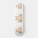 Zoek naar konijnen skateboards Schattig konijn