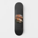 Zoek naar paarden skateboards Wild