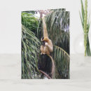 Zoek naar gibbon kaarten Aap