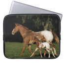 Zoek naar veulen hoesjes Foto