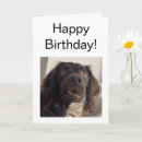 Zoek naar luister briefkaarten Voor hem