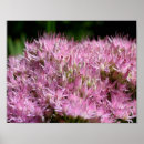 Zoek naar dicht posters Voor haar