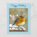 Zoek naar originele briefkaarten Blauw