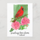 Zoek naar pioen briefkaarten Elk persoon