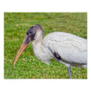 Zoek naar americana kunst Florida