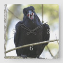 Zoek naar kraaien kunst Zwarte raven