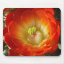 Zoek naar cactus bloemen muismatten Cacti