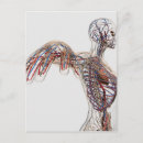 Zoek naar immunologie posters Ledemaat