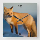 Zoek naar fox klokken Wild