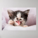Zoek naar olieverf posters Kat