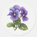 Zoek naar viooltje stickers Tuin