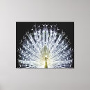 Zoek naar pauw kunst Voor haar