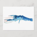 Zoek naar watercolour briefkaarten Waterverf